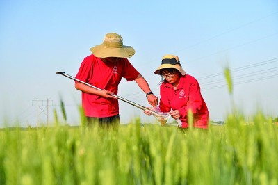 半岛.体育 (中国) 官方网站点亮精神火炬 逐梦科技强国(图5)