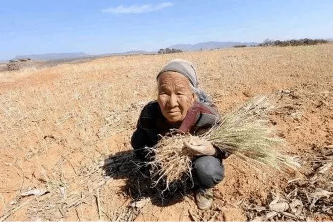 半岛官网入口网页版【宣传教育】世界水日——节约用水保护水资源(图3)