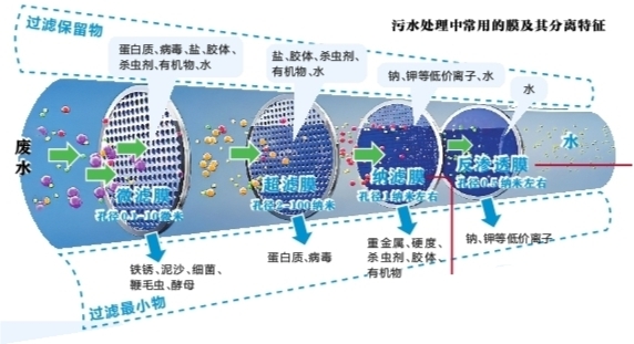 半岛攻关水处理技术精心呵护绿水青山(图3)