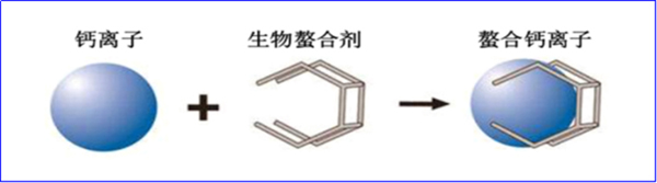 半岛.体育 (中国) 官方网站纯天然的水处理“特种部队”——生物酶缓蚀阻垢循环水(图2)