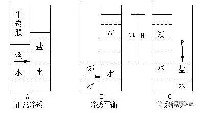 半岛锅炉废水前处理的有关步骤