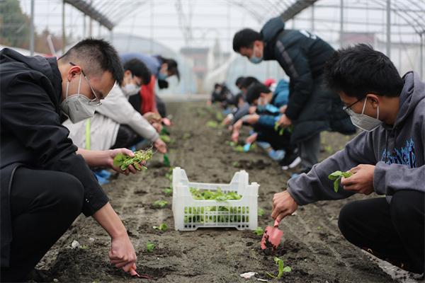 半岛.体育 (中国) 官方网站园艺、厨艺、黑科技……开辟创造性劳动大课堂(图2)