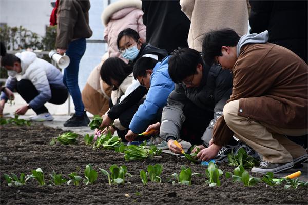 半岛.体育 (中国) 官方网站园艺、厨艺