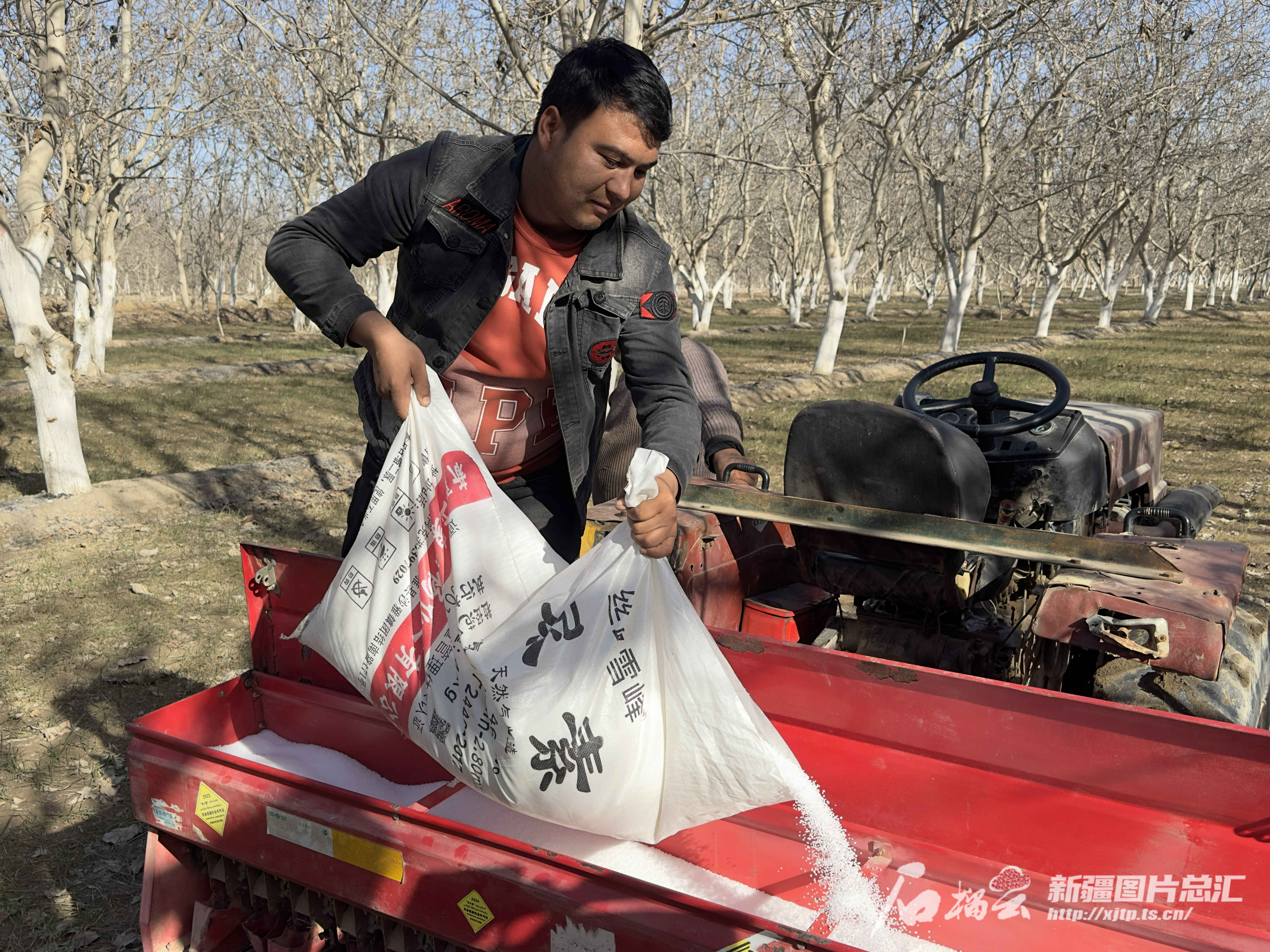 半岛.体育 (中国) 官方网站锦绣中国年丨城乡处处忙 奋力开新局(图3)