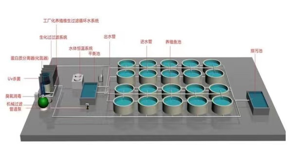 半岛.体育 (中国) 官方网站【智惠农民