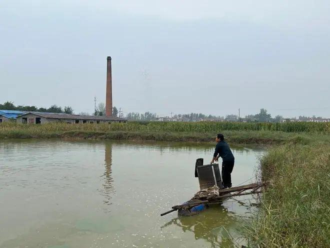 半岛.体育 (中国) 官方网站牛！“数字化养鱼”循环水养鱼场一年四季实现恒温可控(图3)