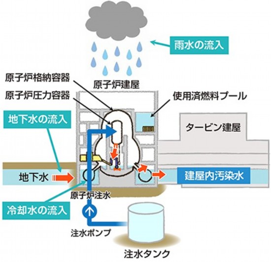 半岛日本专家和民众：核污水排海不是唯一出路 强行推动不科学、毁生计(图4)