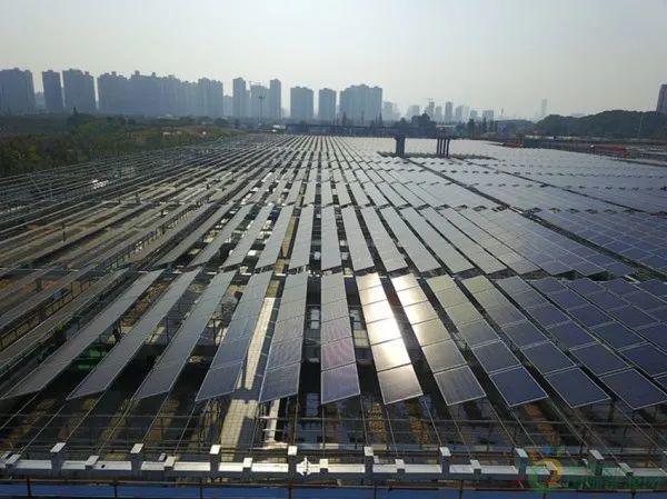 半岛.体育 (中国) 官方网站又一污水处理厂装机157MW！（附“光伏+水务”典(图9)