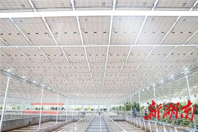 半岛.体育 (中国) 官方网站又一污水处理厂装机157MW！（附“光伏+水务”典(图6)