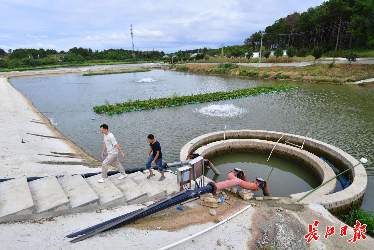 半岛官网入口网页版把“鱼儿的家”搬进“巨型水桶”  “零排放”环保养鱼产量提高1(图3)