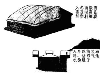 半岛官网入口网页版农业部环境保护科研监测所推出《地震灾区农业生态环境保护知识问答(图24)