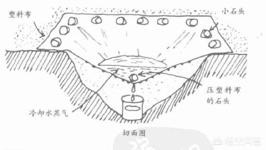 半岛如何在野外获得干净的饮用水？(图3)