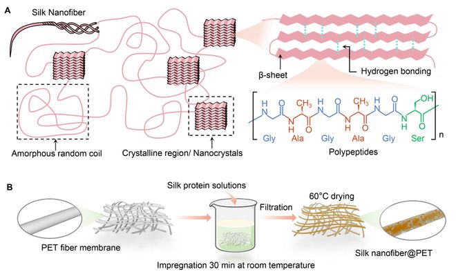 半岛官网入口网页版东华大学朱美芳院士徐桂银教授团队Device：蚕丝调控聚酯纤维(图2)