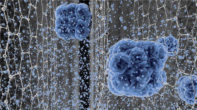 半岛科学家成功发明过滤薄膜直接让海水变淡水不用再担心淡水匮乏(图3)